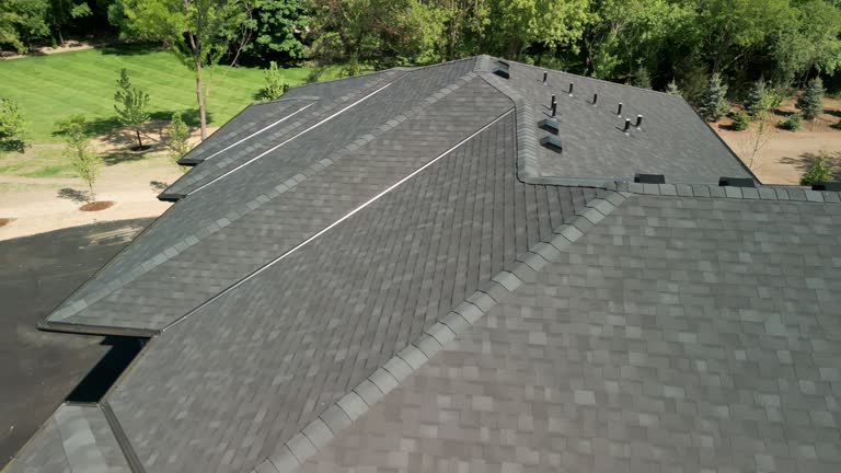 Best Roof Maintenance and Cleaning  in Lake City, IA